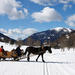 Christmas Horse-Drawn Sleigh Ride from Salzburg