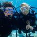 PADI Beginners Course: Pool and Sea Dive