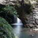 Small-Group 4WD Springbrook National Park Day Trip from Brisbane