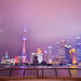 3-Hour Shanghai Private Night Tour with Huangpu River Cruise