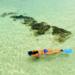 Maui South Shore Kayak and Snorkel Tour