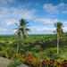 Outback Safari Tour from Punta Cana