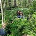Half-Day Forest Bike Tour from Helsinki