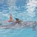 Ocho Rios Dolphin Swim