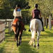 Horseback Trail Rides in Miami