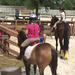 Summer Camp Miami Equestrian Club