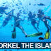 Boat Tour and Snorkeling Adventure Combo