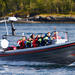 Spot the First Whales of the Season - RIB Boat Tour from Tromso