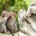 Bali Monkey Forest, Mengwi Temple and Tanah Lot Afternoon Tour
