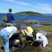 Vancouver Island Forest and Beach Nature Tour