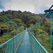 Selvatura Park Hanging Bridge Canopy Tour in Monteverde