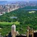 NYC All Day Private Tour