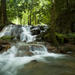 Full-day Krabi Hot Stream and Rainforest Tour 