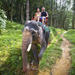 Private Tour: Elephant Adventure, Hilltribes and Mae Kok River Trip from Chiang Rai