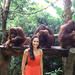 Singapore Zoo with Optional Breakfast with Orangutans