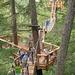 Treetop Canopy Walk in Whistler