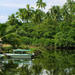 Klias Wetland's River Safari Tour from Kota Kinabalu