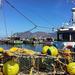 Full-Day Simons' Town and Kalk Bay Tour with Harbour Fish and Chips from Cape Town