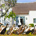 Half-Day Winelands Tour Stellenbosch from Cape Town