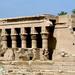 Dendera Abydos Day Trip from Luxor