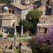 Rome Super Saver: Skip-the-Line Ancient Rome and Colosseum Walking Tour plus Frascati Wine Tasting Tour