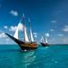 Morning Pirate Sail and Snorkel Cruise in Aruba