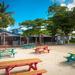 Barbados Mount Gay Rum Tour and Carlisle Bay Beach