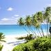 Beautiful Barbados Coastal Sightseeing Tour