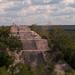 Calakmul Archaeological Site and Biosphere Reserve Day Trip