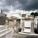 New Orleans Cemetery and Voodoo Walking Tour