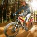 4-Hour Guided Mountain Bike Tour of Whakarewarewa Redwood Forest