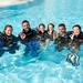 3-Day PADI Open Water Certification Course on the Gold Coast