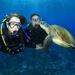 Gold Coast Scuba Diving Experience on Wave Break Island