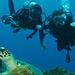 Beginner Scuba Diving Experience in Padangbai