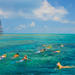 Key West Reef Snorkeling Cruise