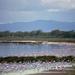 Full-Day Lake Nakuru National Park Private Tour from Nairobi