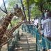 Half-Day Haller Park Tour from Mombasa