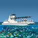 Grand Cayman Seaworld Observatory - Shipwreck and Fish Feeding Show