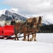 Horse-Drawn Sleigh Ride in Banff