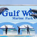 Gulf World Marine Park General Admission