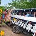Bavaro Runners Day Trip