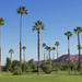 Palm Springs and Outlet Shopping Day Trip from Los Angeles