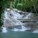 Half Day Tour of Dunn's River Falls