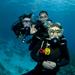 Discover Scuba Diving in Simpson Bay