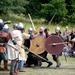 Birka the Viking City - Boat and Walking Tour