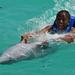 Anguilla Dolphin Swim