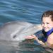 Dolphin Encounter in Los Cabos