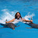 Dolphin Royal Swim at Aquaventuras Park with Entrance Ticket