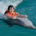 Grand Cayman Dolphin Swim Adventure