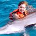 Ocho Rios Dolphin Encounter